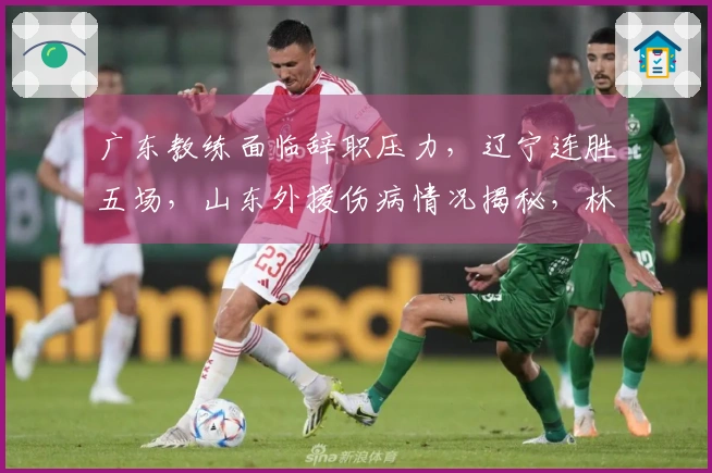 广东教练面临辞职压力，辽宁连胜五场，山东外援伤病情况揭秘，林葳转会上海消息曝光