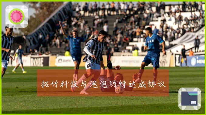 拓竹科技与泡泡玛特达成协议